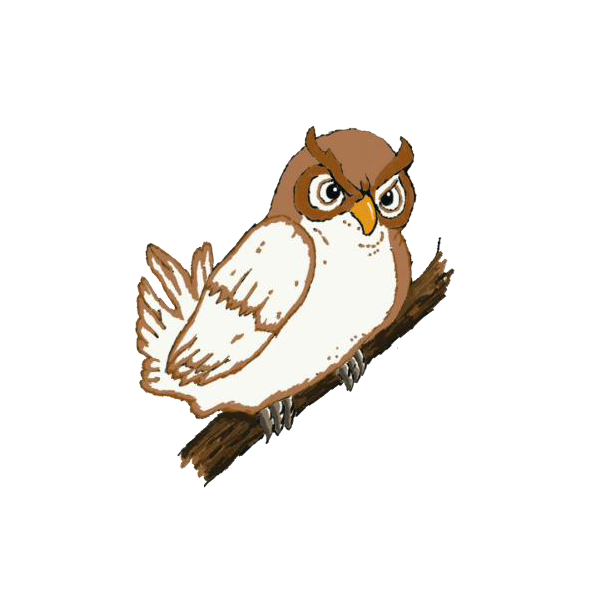 Holt Community Primary School
